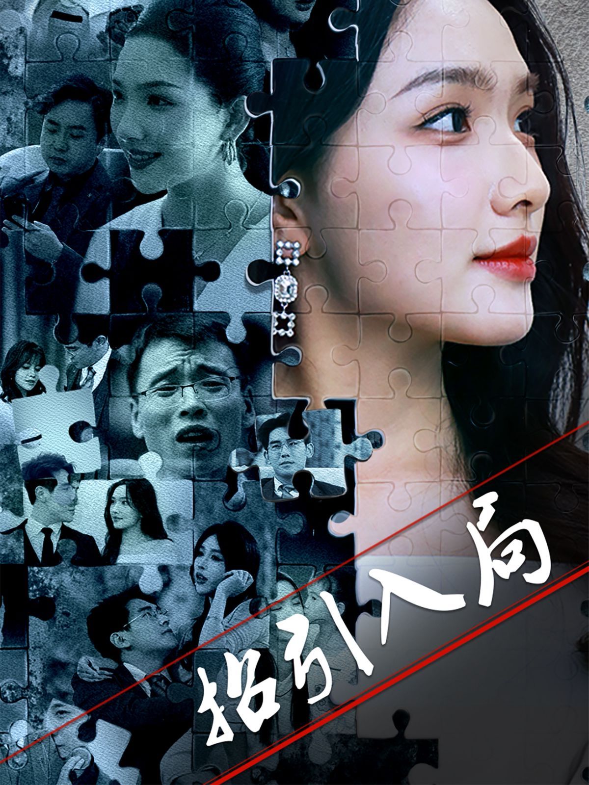 招引入局(全集)