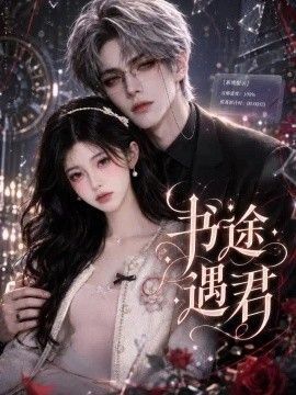 书途遇君(全集)