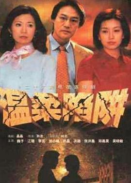 温柔陷阱2001(全集)