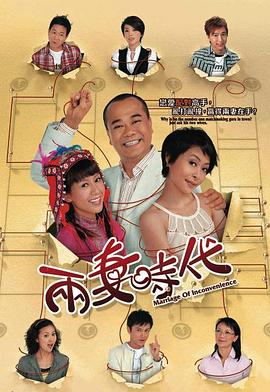 两妻时代粤语(全集)