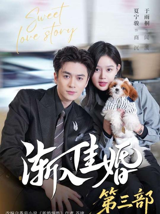 渐入佳婚3(全集)