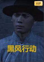 黑风计划(全集)