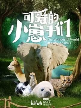 可爱的小崽子们 中文版(全集)