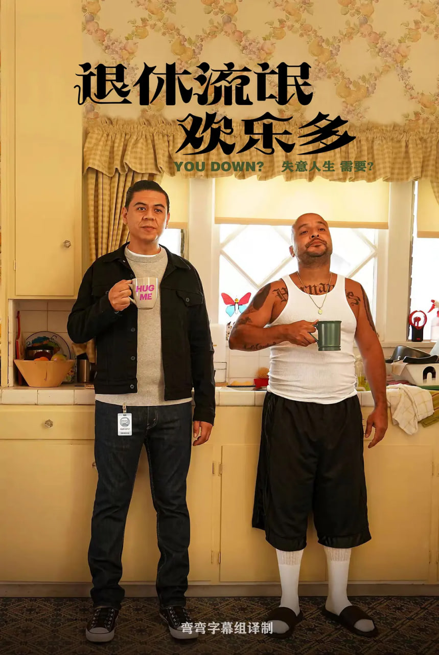 这个傻瓜 第一季(全集)
