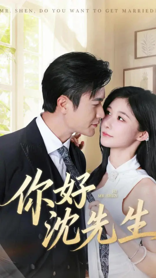你好沈先生(全集)