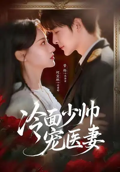 冷面少帅宠医妻(全集)