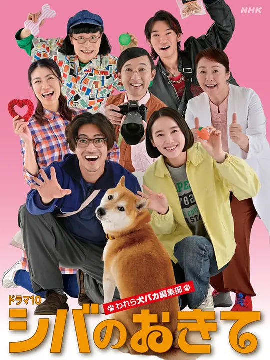 柴犬的规矩～我们这群狗痴编辑部(全集)